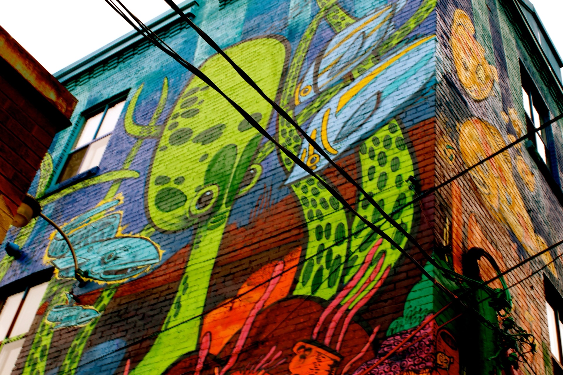 Turquoise, green, and orange sea-creature murals covering weathered brick in Toronto's Graffiti Alley